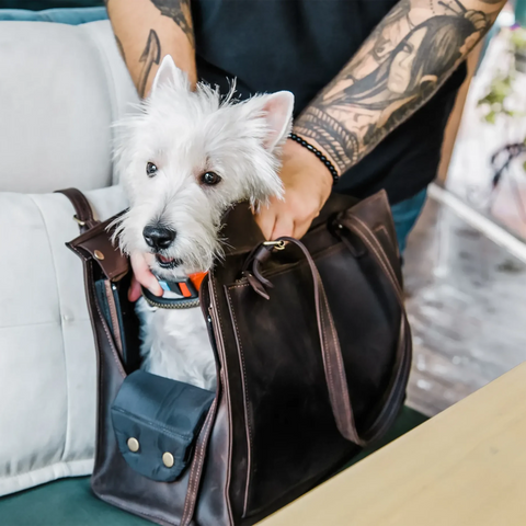 Leather Dog Travel Bag