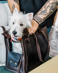 Leather Dog Travel Bag