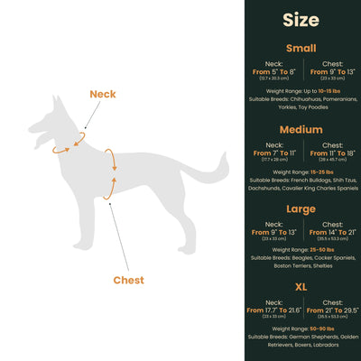 Dog Harness with Leash