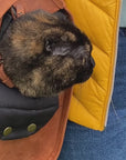 Leather Cat Bag