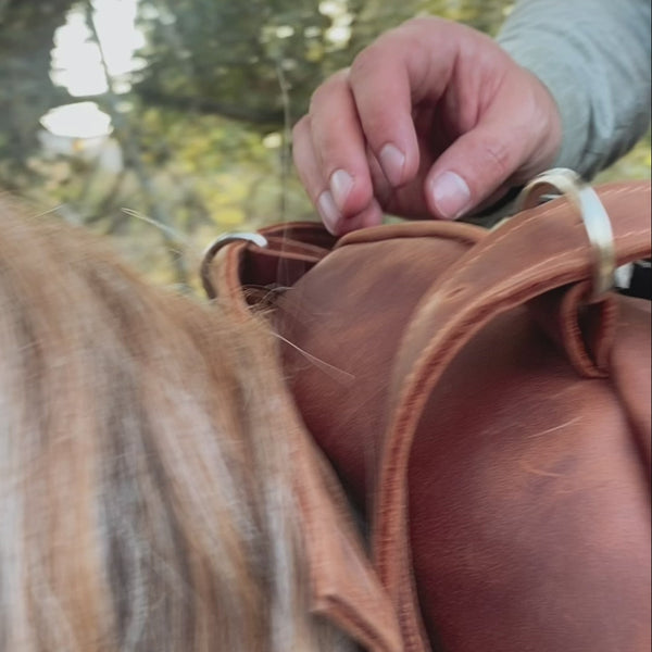Leather Saddle Bag 